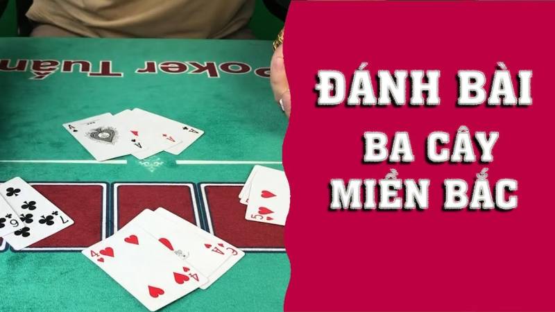 Giới thiệu sơ lược về bài ba cây miền Bắc