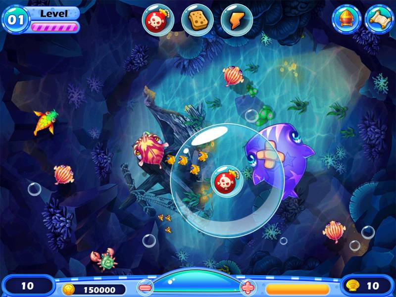 Hiểu về các loại cá và đặc tính của chúng