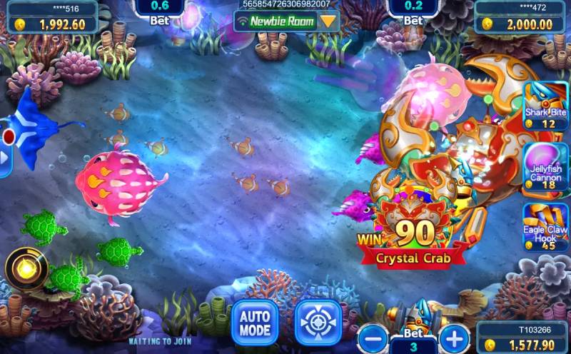 Quan sát và học cách đọc tốc độ của cá